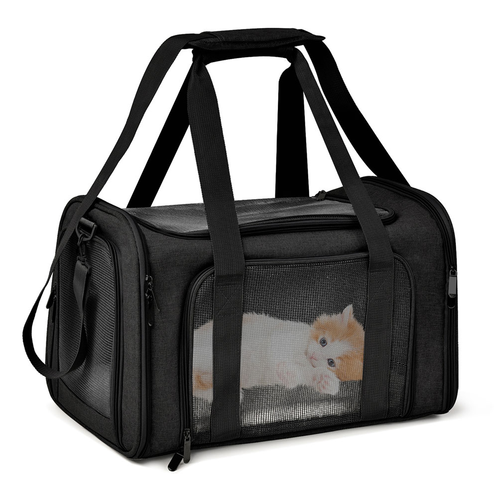 Foldable Waterproof Travel Cat - огляд і ціна Foldable Backpack Small